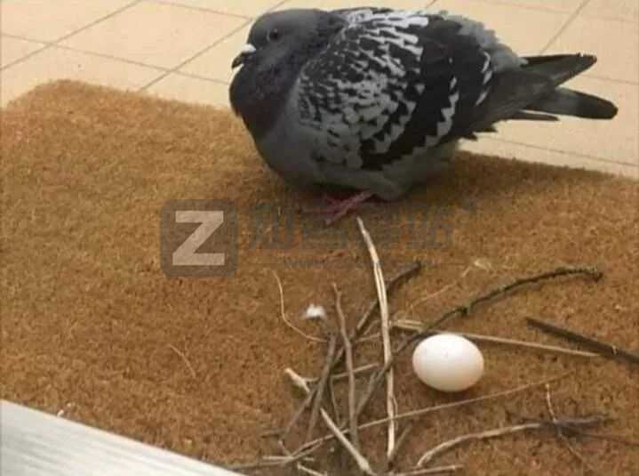 2022年7月7日，历史上的今天和生活冷知识