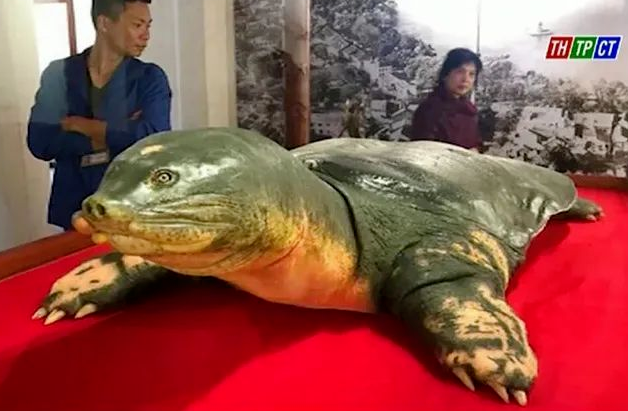 2022年8月5日，历史上的今天和生活冷知识