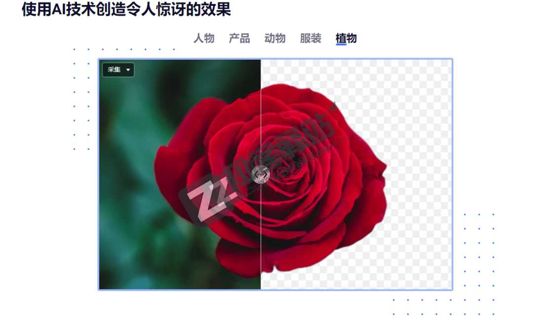 BgSub（智能抠图）