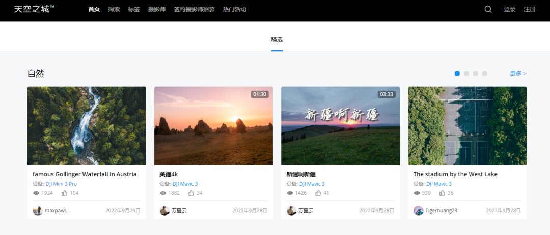 PICKFREE-20 PICKFREE