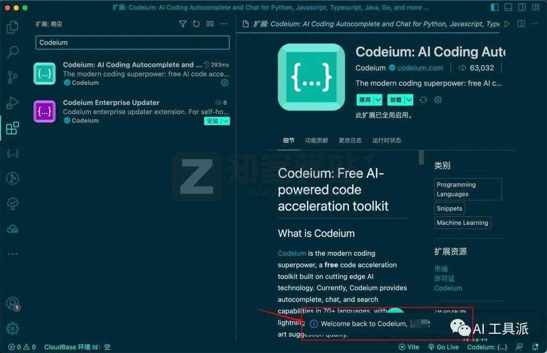Codeium-12 Codeium