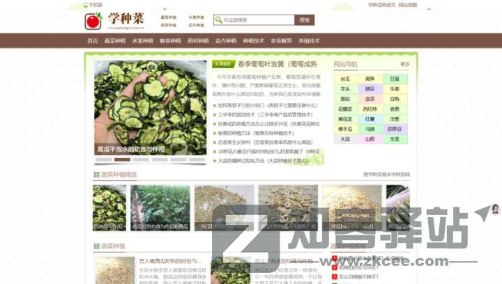 【宝藏合集】精选5大高价值网站，覆盖开发/农业/短剧/档案/小说全领域！