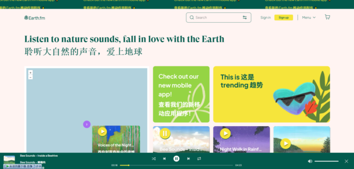 14 个宝藏网站，让生活更精彩！🎉