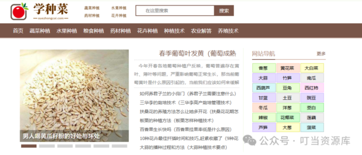 超级有趣的实用网站合集,赶紧收藏!🎉-1 超级有趣的实用网站合集,赶紧收藏!🎉